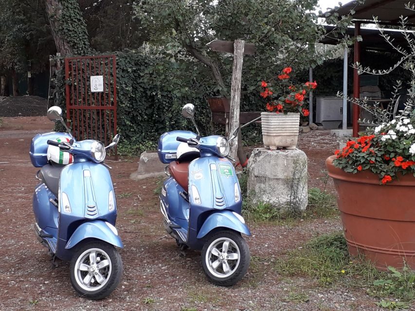 Rome: Guided Vespa City Tour - What your guide teaches: history, food, and local customs