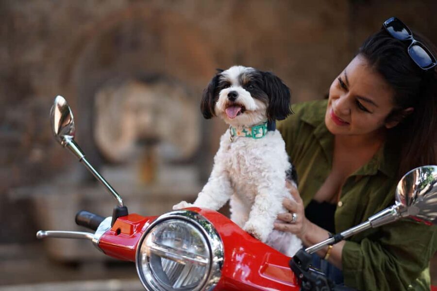 Rome: Guided Vespa Tour with Professional Photoshoot - Circus Maximus and Piazza Venezia: Big Rome Vibes Without the Long Detours