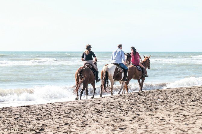 Rome: Horseback Riding on the Beach with aperitif - Inside the Natural Reserve: Pinewoods, Ruins, and a Real Warm-Up
