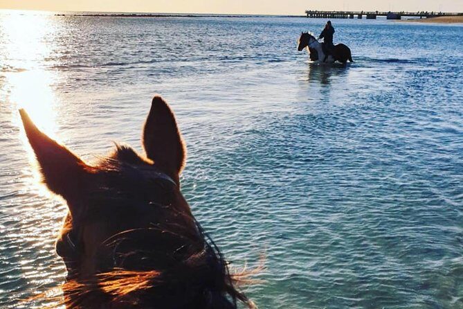 Rome: Horseback Riding on the Beach with aperitif - Helmets, Chaps, and How Safety Really Plays Out