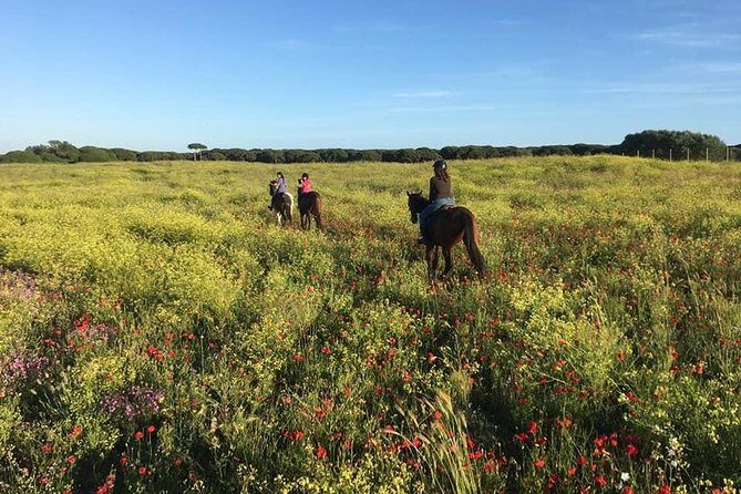Rome: Horseback Riding on the Beach with aperitif - The Wine and Snack Finish at the Ranch