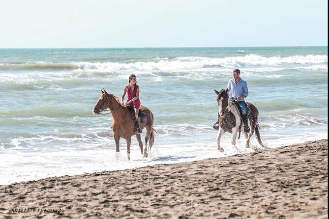 Rome: Horseback Riding on the Beach with aperitif - The Riding Level Requirement (Read This Part Carefully)