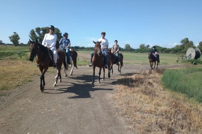 Rome : Horseback Riding with meals and wine included - Riding through Rome’s nature reserve and ancient port ruins