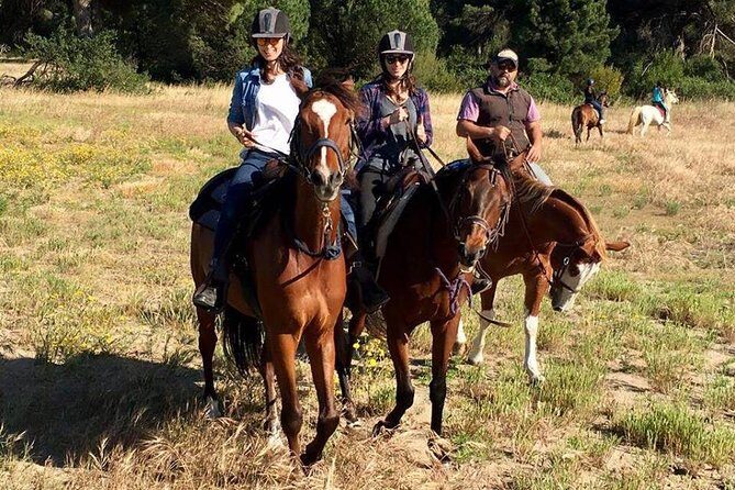 Rome : Horseback Riding with meals and wine included - The lunch, wine, and Roman dinner that actually make the ride feel complete
