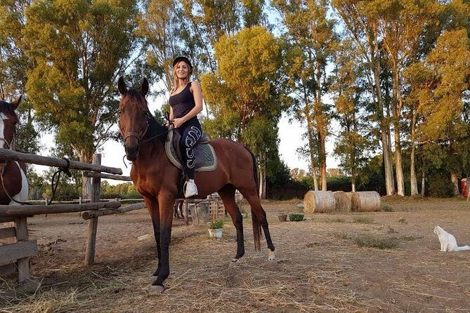 Rome : Horseback Riding with meals and wine included - Should you book this Rome horseback riding with meals and wine?