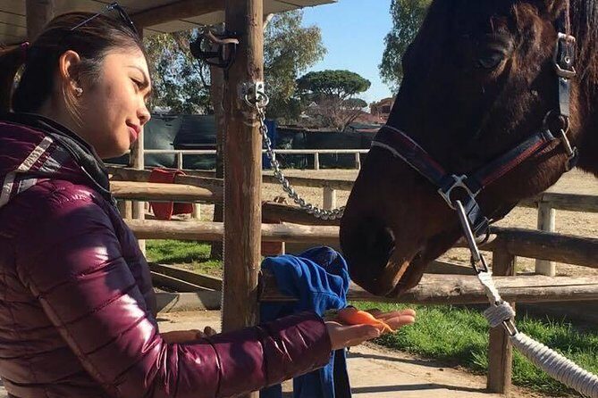 Rome : Horseback Riding with meals and wine included - Ranch time at Cavalieri di Gaia: grooming, feeding, and getting “horse-ready”