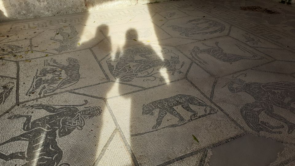 Rome: Ostia Antica Private Guided Tour - Rome’s Ancient Harbor in a 3-Hour Private Tour