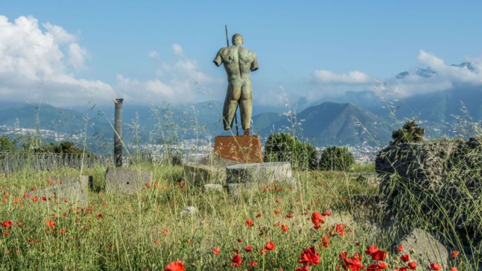 Rome: Pompeii Tour with Wine and Lunch by High Speed Train - Quick highlights from this Pompeii with wine day