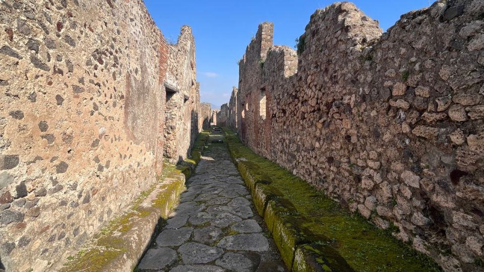 Rome: Pompeii Tour with Wine and Lunch by High Speed Train - Price and Value: Why $239 Can Be Worth It