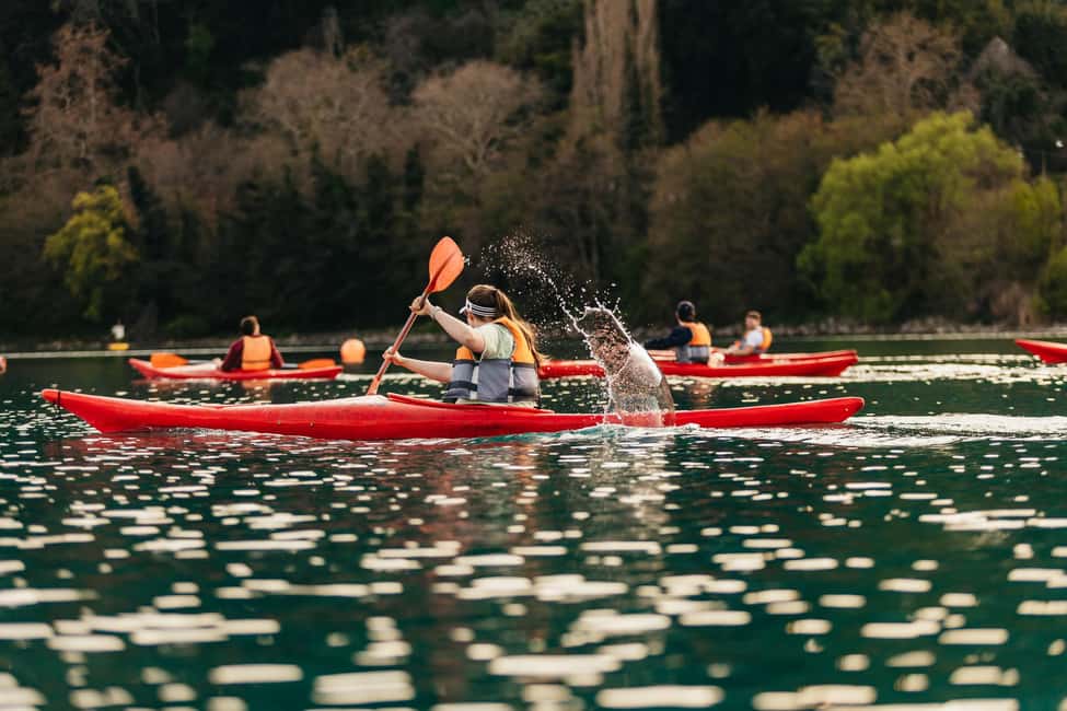 Rome: Popes' Lake, Kayak Tour with Swimming & Roman Pizza - The return ride: timing you can build your day around