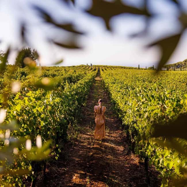 Rome: Private Castelli Romani Wine Tasting Tour - The Frascati stop: photo views, local snacks, and a taste-first approach