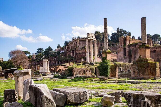 Rome: Private Colosseum Arena Floor with Forum & Palatine - Full private tour: Colosseum upper levels, Forum temples, and a Palatine climb