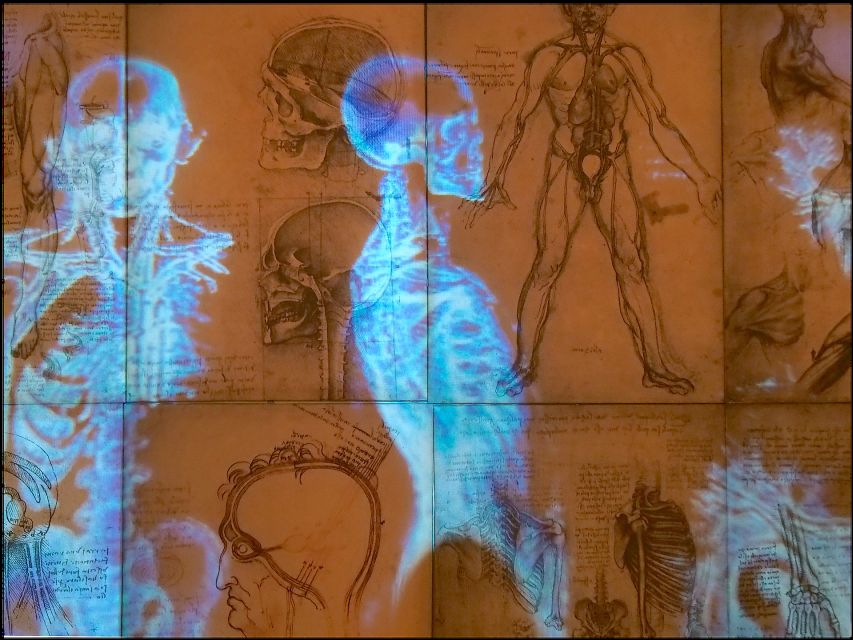 Rome: Private Leonardo da Vinci Exhibition Guided Tour - Video and anatomy study: why he wasn’t just an engineer