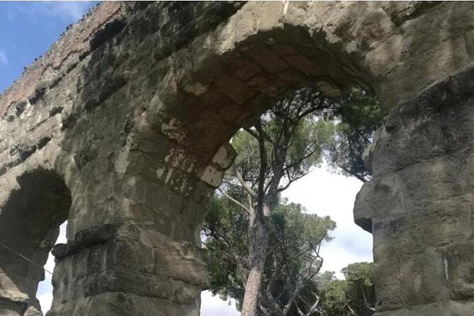 Rome Private Tour by English speaking driver - Circus Maximus: A Chariot-Race Giant Still Impressive From the Road