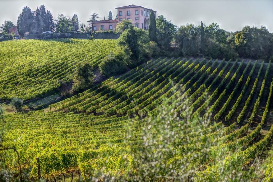 Rome: Private Tour to San Gimignano, Siena & Winery Visit - Private group dynamics: best for friends and couples