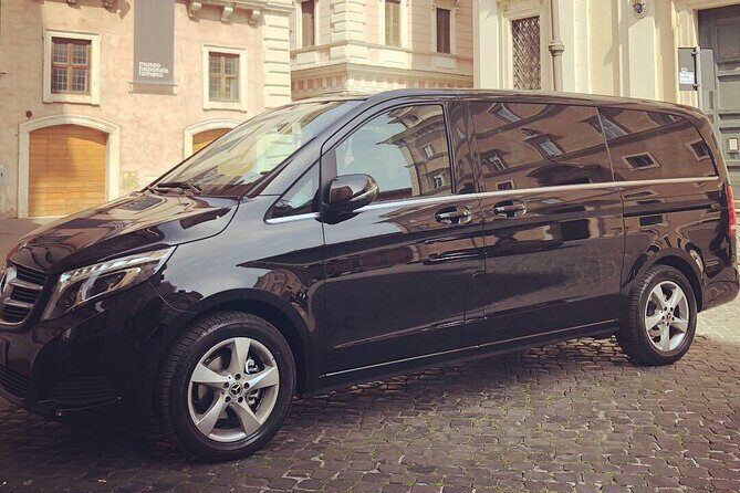 Rome private tour with english speaking driver - Entering The Colosseum Area, With a Ticket in Hand