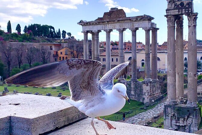 Rome: Private Tour with Guide - Stop-by-stop breakdown: what each place is for