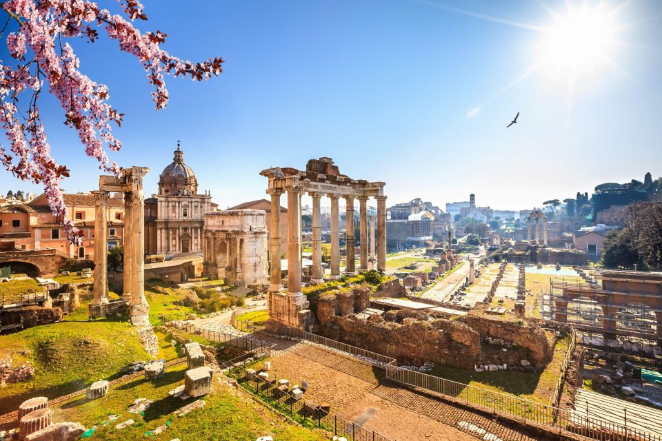 Rome: Roman Forum and Palatine Hill Licensed Guided Tour - Price and value: is $54 worth it?