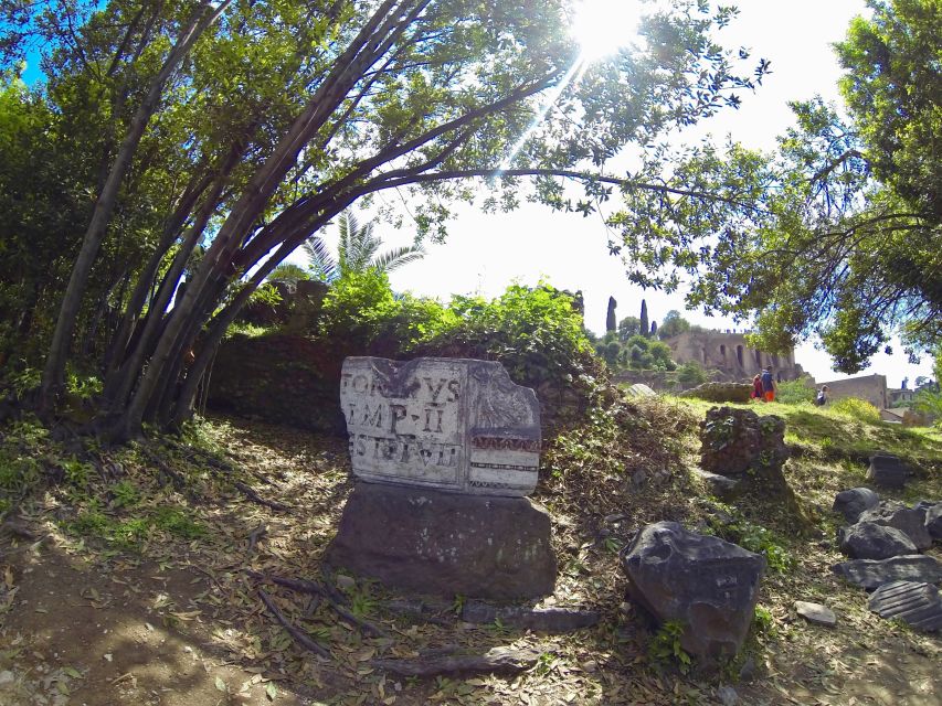 Rome: Roman Forum, Palatine, and Circus Maximus Tour - Optional 30-minute Circus Maximus extension from Palatine