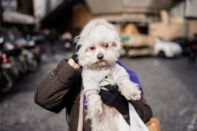 Rome Street Photography Lesson - Timing, Meeting Point, and How Long It Really Takes