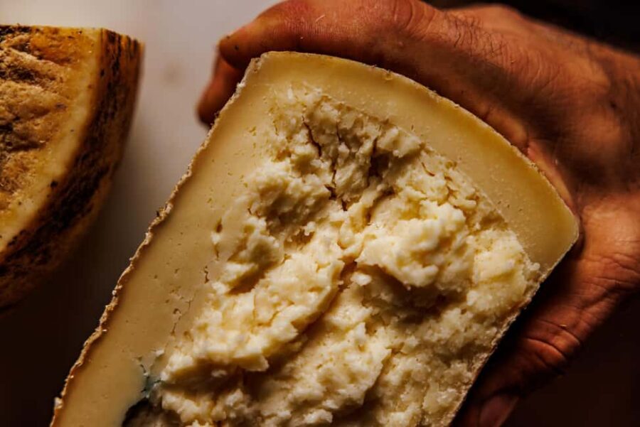 Rome: Taste in Testaccio gastronomic rarities in an aging cave - Should You Book Taste’accio’s Testaccio Cave Tasting?