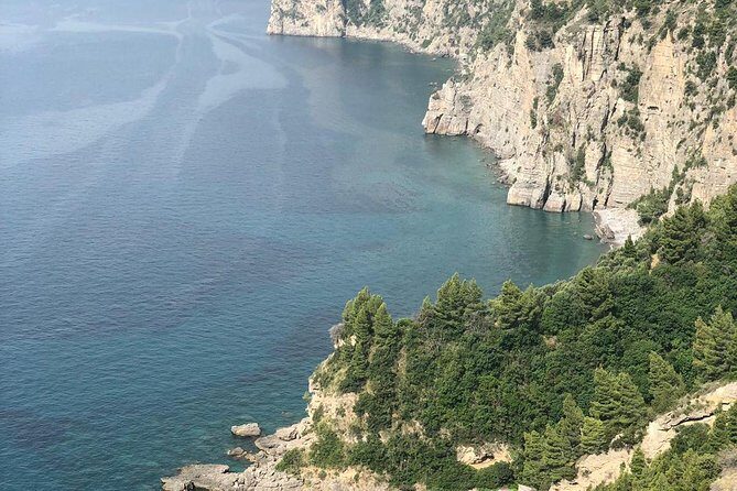 Rome to Pompeii & Positano Day Trip with Hotel Pick Up & Skip The Line Tickets - Getting the most from your Pompeii guide (and the walking reality)