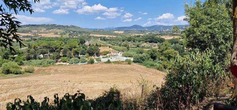 Rome to Saturnia ; Thermal Springs Day Trip with Lunch - Price and value: what $311.53 covers (and what it doesn’t)