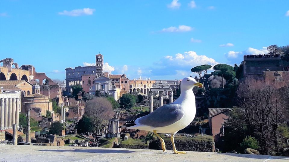 Rome: Vatican & Colosseum Experience with Lunch & Transfers - Colosseum Area: Arch of Constantine, Roman Forum, and Palatine Hill