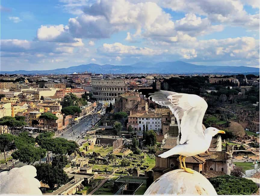 Rome: Vatican, Colosseum & Main Squares Tour w/ Lunch & Car - How the luxury-car format keeps Rome from feeling chaotic