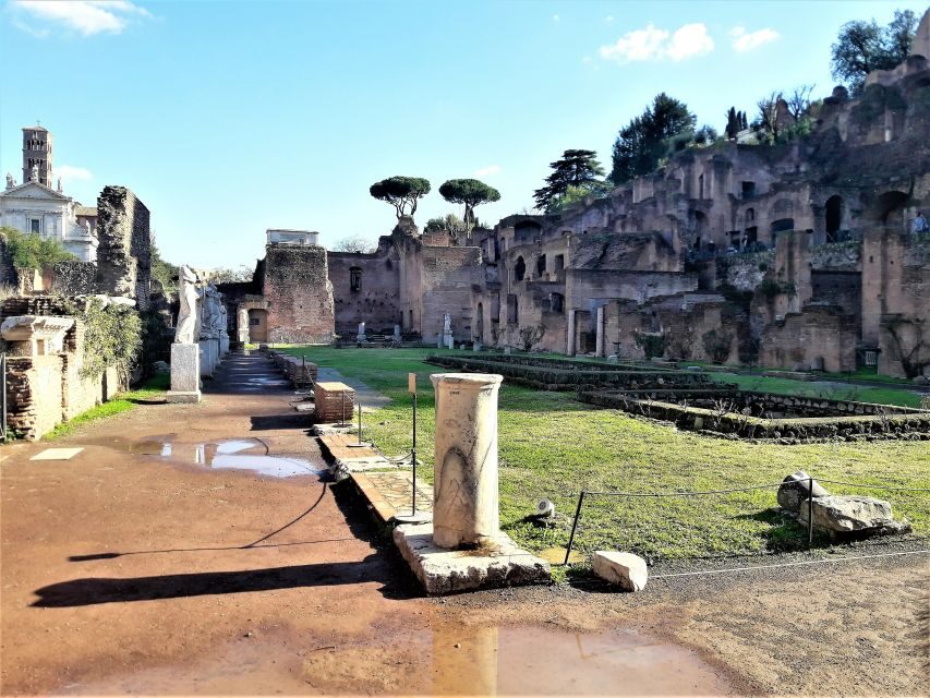 Rome: Vatican, Colosseum & Main Squares Tour w/ Lunch & Car - Entering the Colosseum and getting Roman Forum context that actually sticks