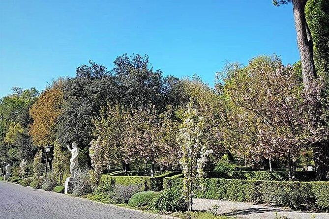 Rome: Vatican Museums and Gardens Private Tour - Pick up included - Timing Tips: How to Make the 4 Hours Feel Like a Win