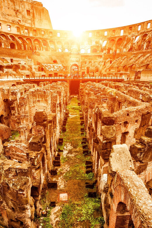 Rome: VIP Colosseum, Roman Forum, Palatine Hill Experience - Price and value: why it costs more than bare admission