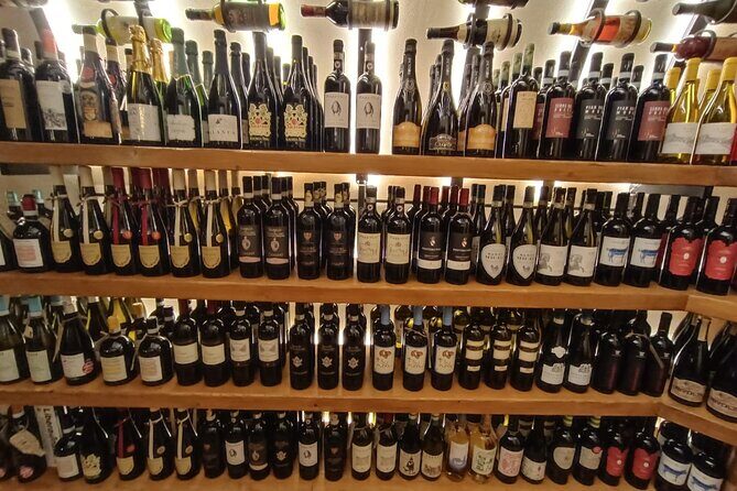 Rome VIP Wine and Food Tasting in a 2,000 Year Old Roman Cistern - Who this is best for (and who should rethink it)