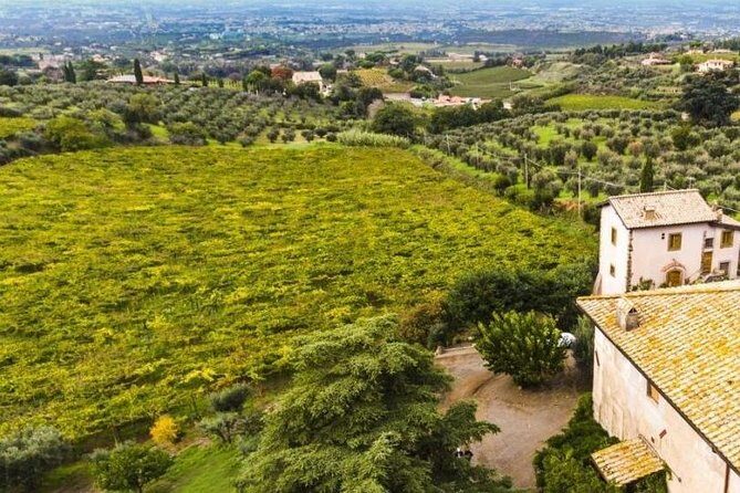 Rome: Wine Tour & Pizza Making Class in a Frascati's vineyard - 5 hours - Logistics that matter (and how to plan around them)