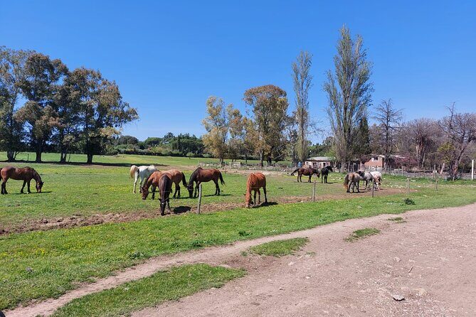 Rome's Ultimate Bike Tour - Parco di Torre Fiscale and the meaning of purpose