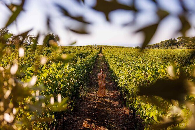 Rome's Vineyard Symphony: Countryside Winetasting Experience - Meet the family team: why the human factor matters