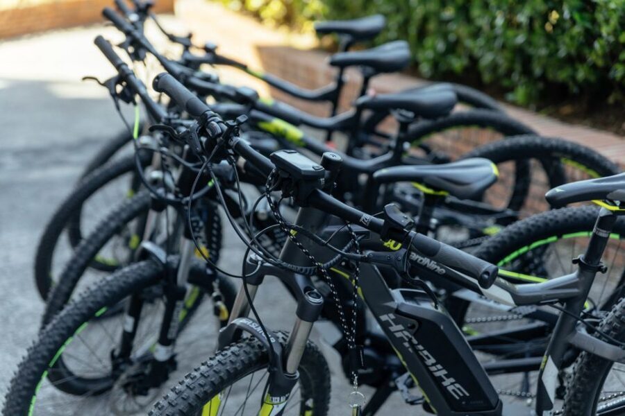 Scenic E-Bike Ride with Vineyard Wine & Meal - Key Highlights I’d Put First