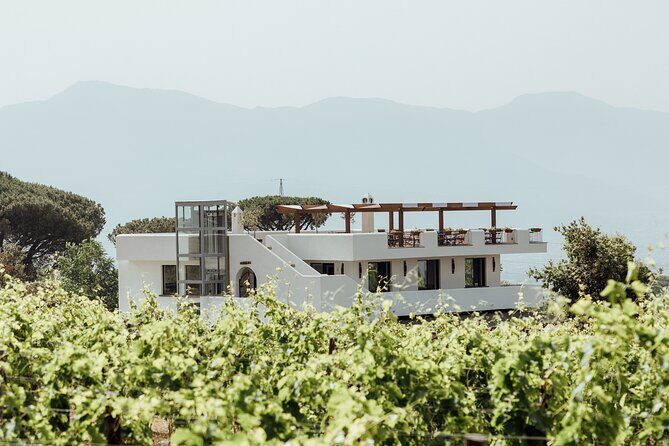 Scenic Wine Tasting & Lunch on the Slopes of Vesuvius from Naples - Vesuvius Vineyard Wines: Why This Lunch Feels Different