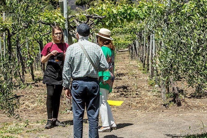 Scenic Wine Tasting & Lunch on the Slopes of Vesuvius from Naples - Drivers and Guides: When the People Make the Day
