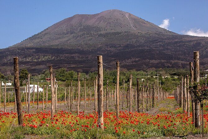 Scenic Wine Tasting & Lunch on the Slopes of Vesuvius from Naples - Who This Suits Best (and Who Should Consider Another Option)