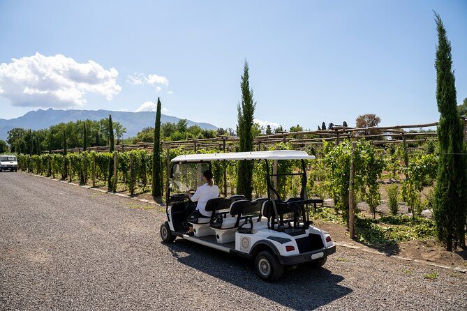 Seafood Lunch & Wine Tasting with Scenic Golf Cart Tour - Key Highlights You’ll Actually Care About