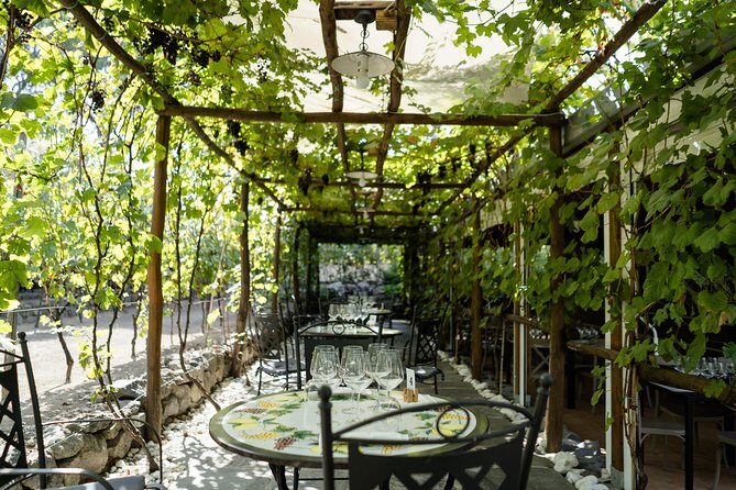 Seafood Lunch & Wine Tasting with Scenic Golf Cart Tour - Wine Tasting: Local Vineyard Wines and Pairing Talk You Can Follow