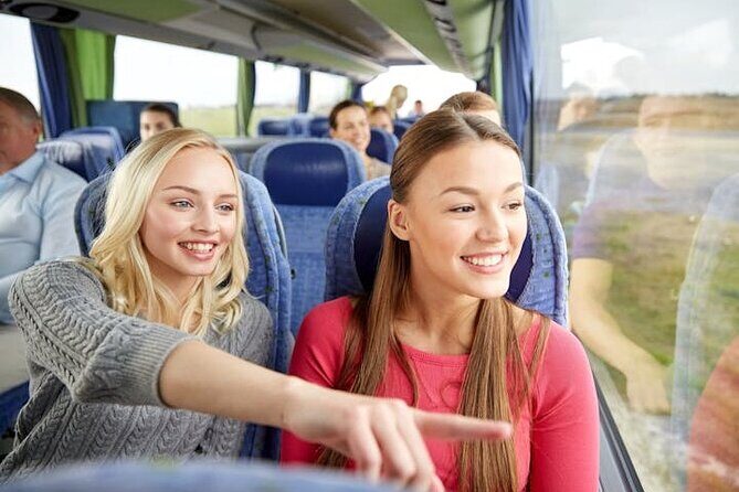 Shared Shuttle Transfer from Rome to Civitavecchia Port - Price and Value vs. Taxi: When a Shared Van Makes Sense