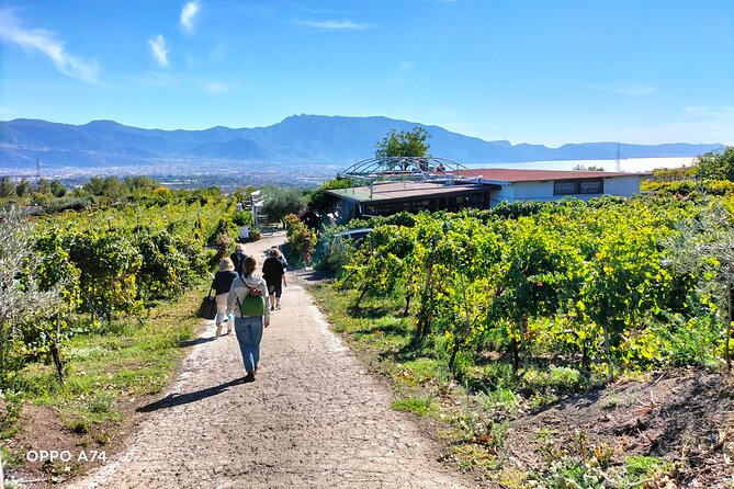 Shore excursion Naples city tour, Pompeii & Winery Cantina del Vesuvio - Timing and transport: the day plan that keeps you from wasting time