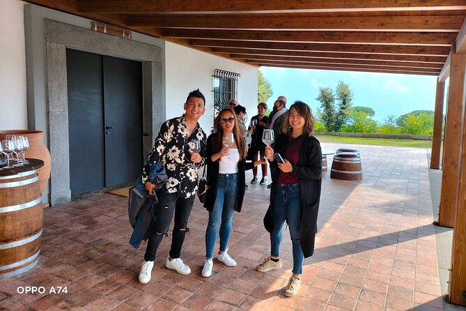 Shore excursion Naples city tour, Pompeii & Winery Cantina del Vesuvio - Pompeii Archaeological Park: 2 hours that can be either great or rushed