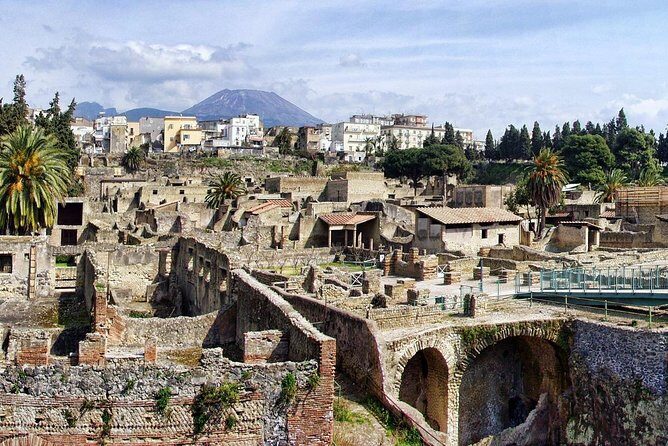 Shore tour of Pompeii, Vesuvius and Herculaneum. - Vesuvius National Park: crater ride time and Gulf-of-Naples views