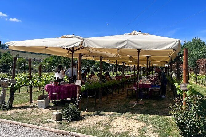 Siena and San Gimignano from Rome: Private Wine Tour in Tuscany - Tenuta Torciano: 10 tastings plus a lunch you don’t have to plan