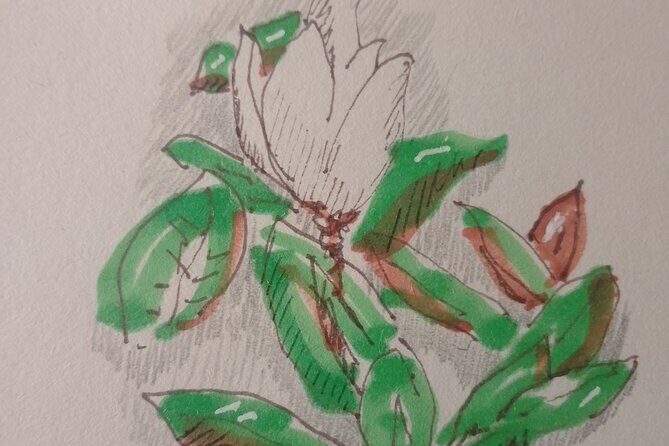 Sketching in Rome Villa Borghese Private lesson with Guido - Materials included: what you’ll get to use