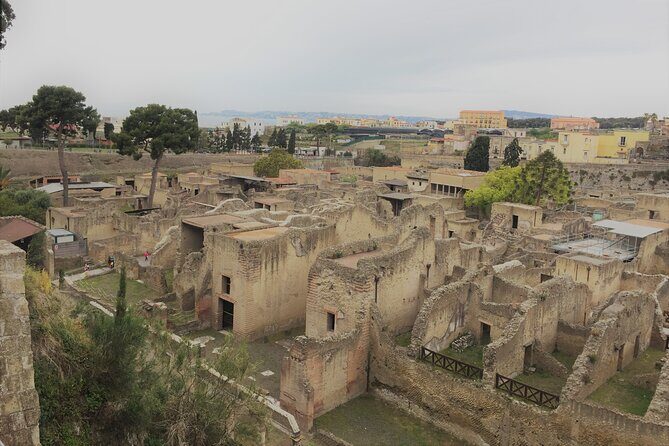 Skip the Line Ancient Herculaneum Walking Tour with Top Rated Guide - Special stops for Roman routines: baths, college, and terraces
