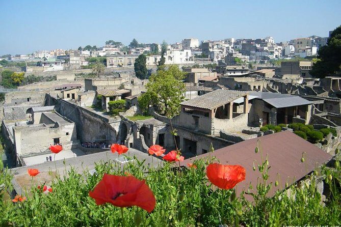 Skip the Line Herculaneum Ruins Ticket - Real-world tips that make the visit smoother in Ercolano